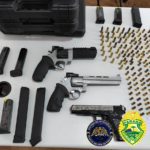 Recuperadas armas furtadas em Tomazina
